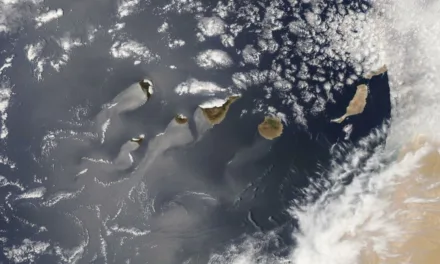 Weather: Gran Canaria prepares for 40ºC+ as desert calima brings first heat wave of the season