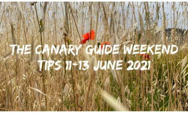 The Canary Guide Weekend Tips 11-13 June 2021