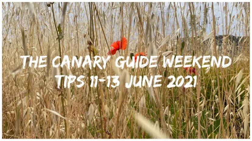 The Canary Guide Weekend Tips 11-13 June 2021