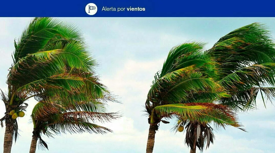 Canary Islands Issue Alert for Strong Winds from Sunday 00:00