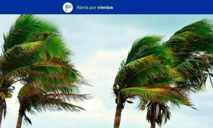 Canary Islands Issue Alert for Strong Winds from Sunday 00:00