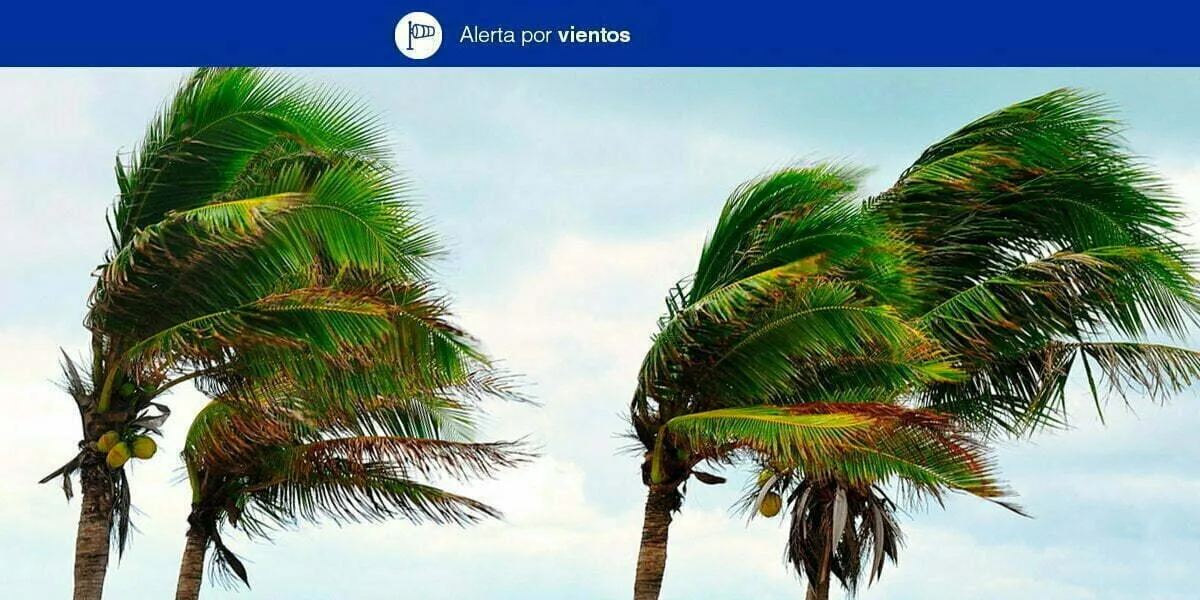 Canary Islands Issue Alert for Strong Winds from Sunday 00:00