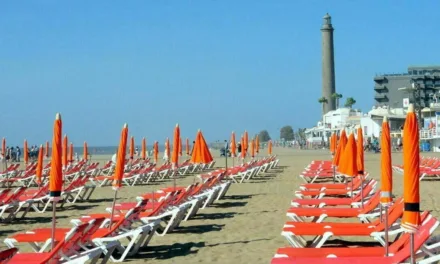 Newly cashless Maspalomas beach-hammocks-and-umbrellas services start once again, re-employing 41