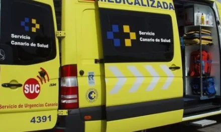 Bus driver attacked in the early hours of the morning