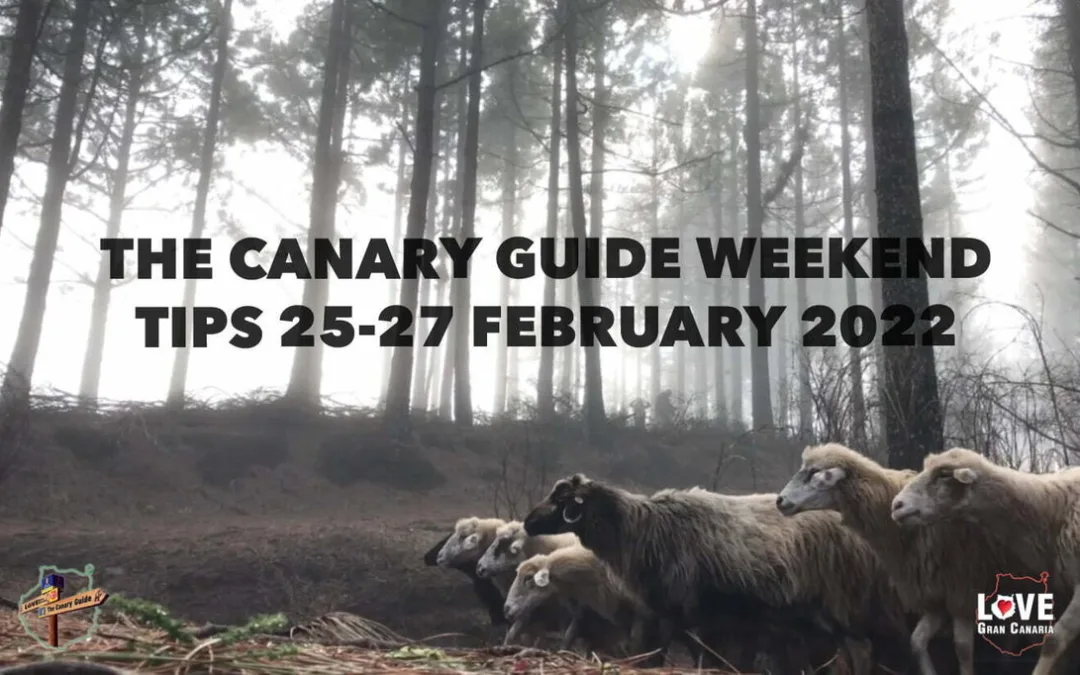 The Canary Guide #WeekendTips 25-27 February 2022