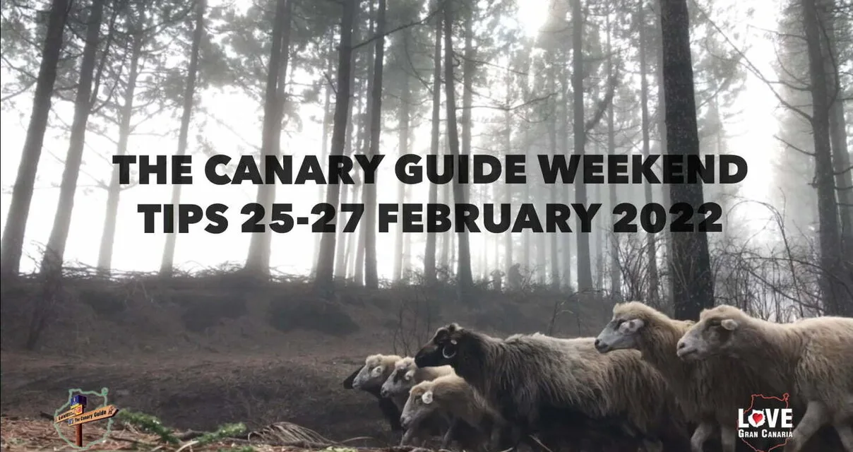 The Canary Guide #WeekendTips 25-27 February 2022
