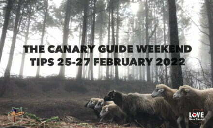 The Canary Guide #WeekendTips 25-27 February 2022