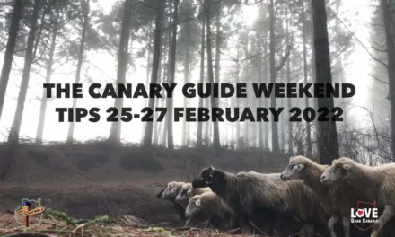 The Canary Guide #WeekendTips 25-27 February 2022