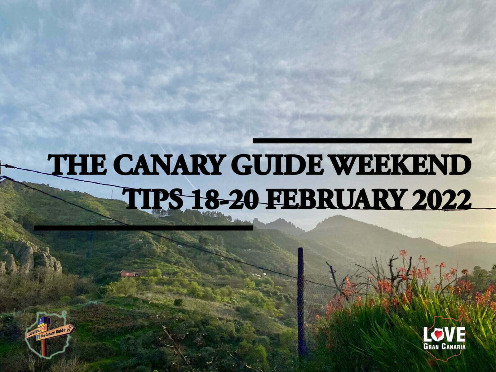 The Canary Guide #WeekendTips 18-20 February 2022
