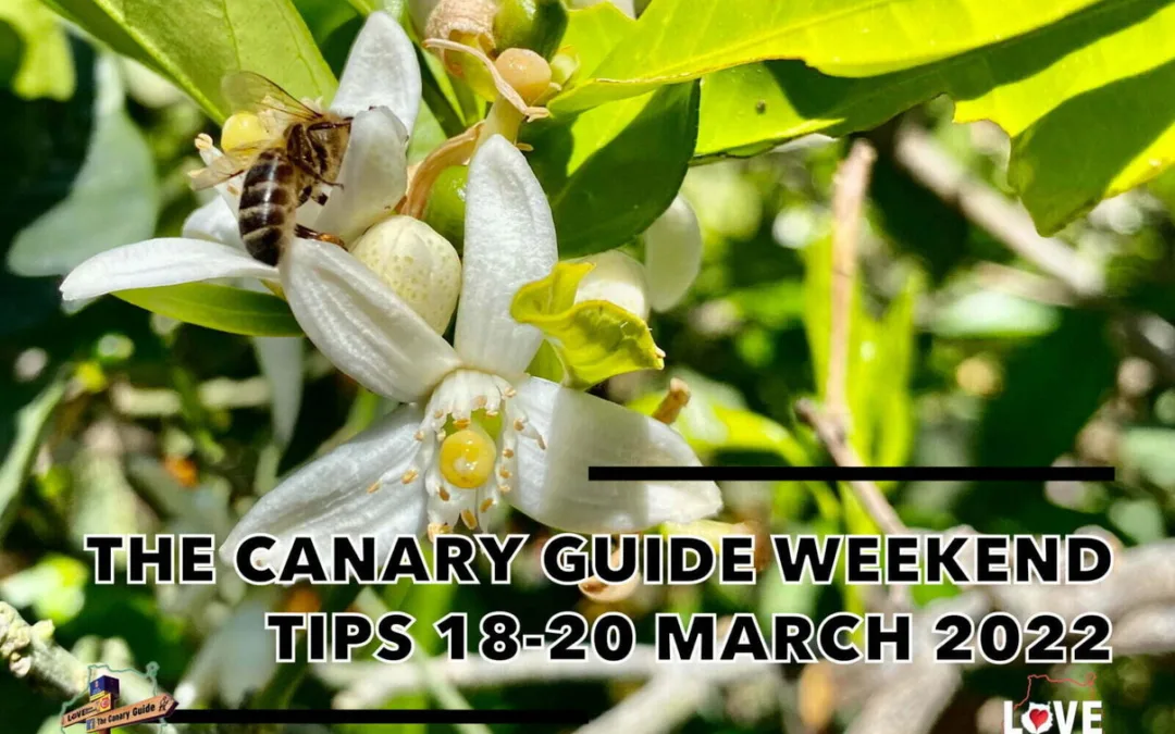The Canary Guide #WeekendTips 18-20 March 2022