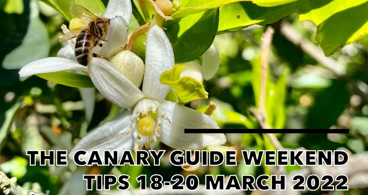 The Canary Guide #WeekendTips 18-20 March 2022