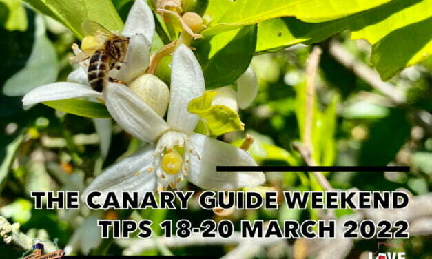 The Canary Guide #WeekendTips 18-20 March 2022