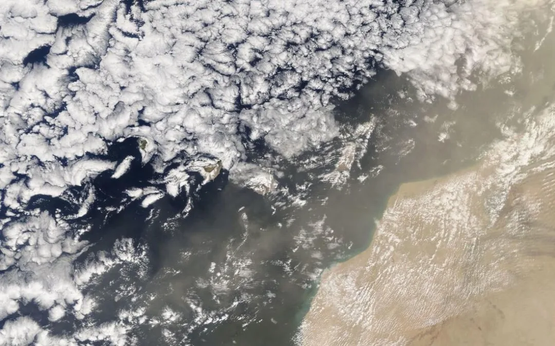 After a topsy turvy week of cold snaps, strong winds and rain, Calima arrives in The Canaries