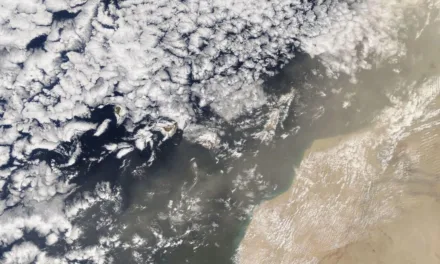 After a topsy turvy week of cold snaps, strong winds and rain, Calima arrives in The Canaries