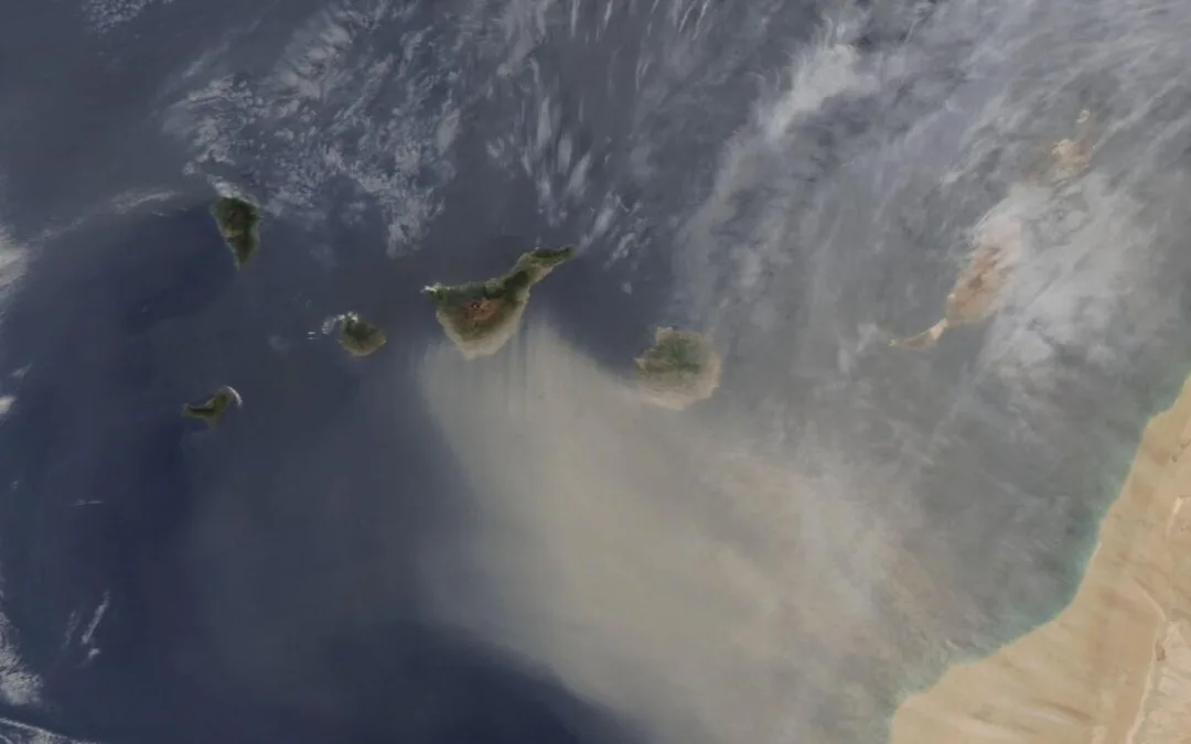 Gran Canaria Weather: Calima and high temperatures expected to linger until Wednesday, rain possible by weekend