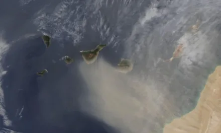 Gran Canaria Weather: Calima and high temperatures expected to linger until Wednesday, rain possible by weekend