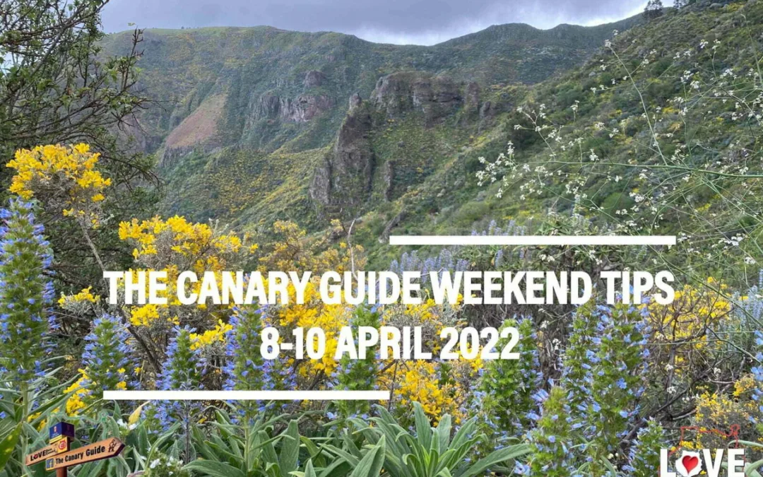 The Canary Guide Weekend Tips 8-10 April 2022