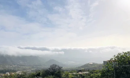 Gran Canaria Weather: Some grey skies, clearing into the weekend, but a little rain expected by Día de Canarias on Monday