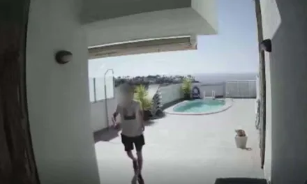 The most active house burglar in the south arrested and identified