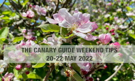 The Canary Guide #WeekendTips 20-22 May 2022