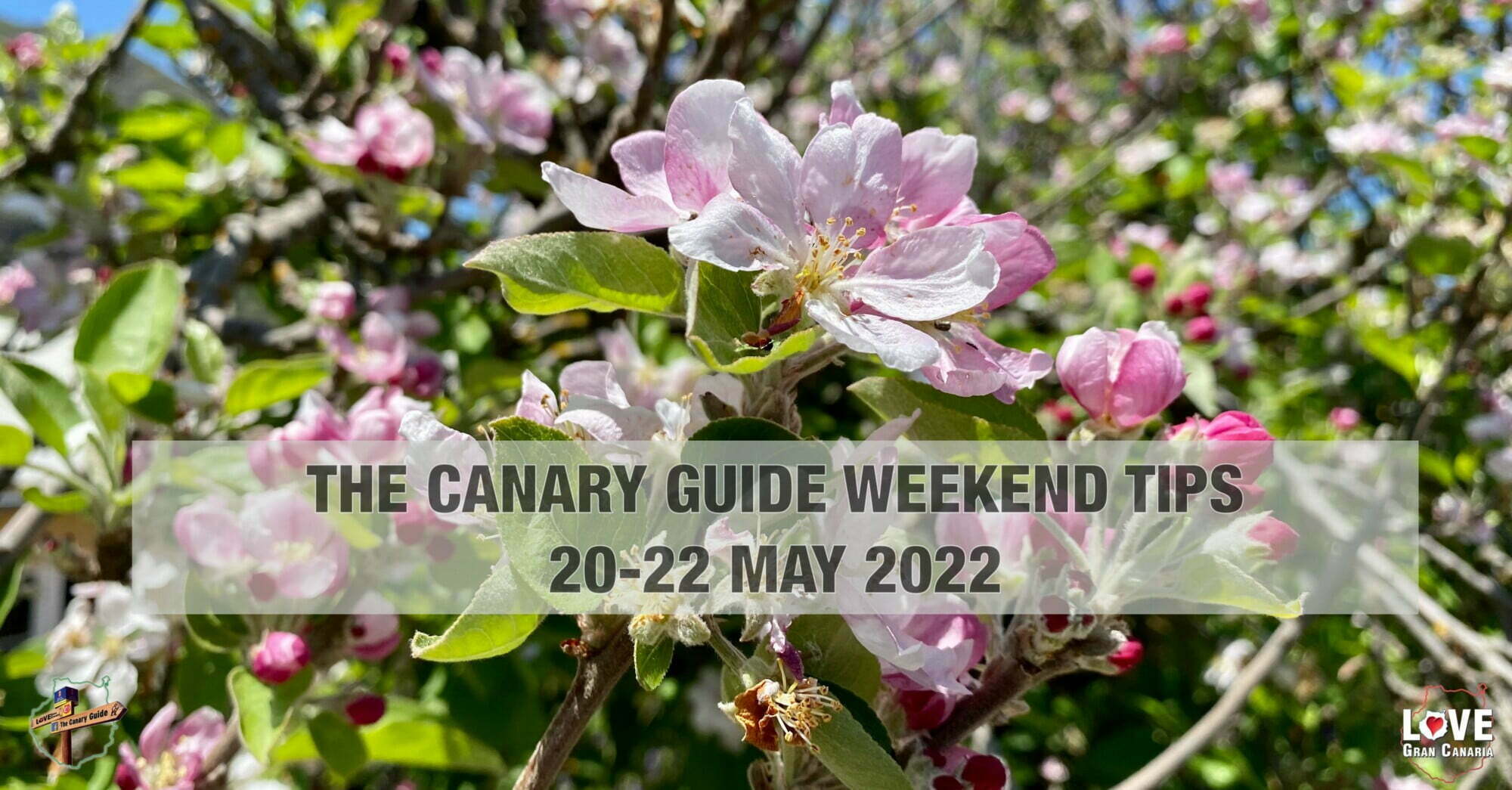 The Canary Guide #WeekendTips 20-22 May 2022