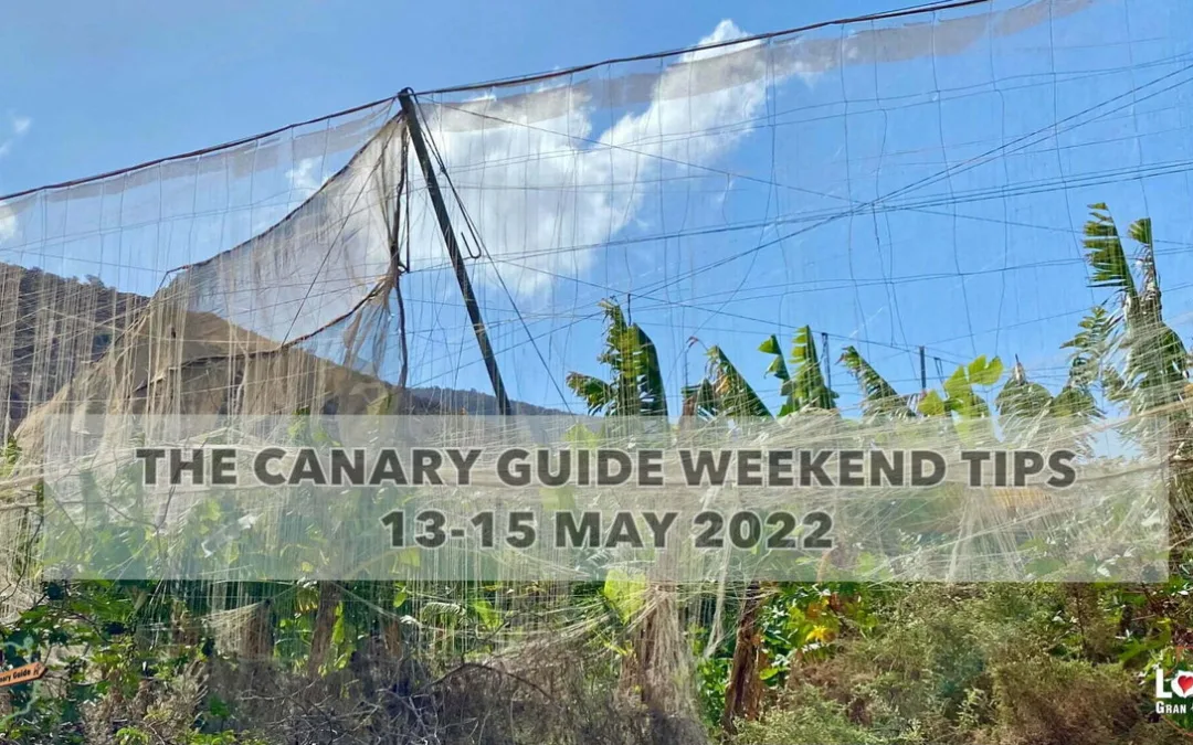 The Canary Guide #WeekendTips 13-15 May 2022