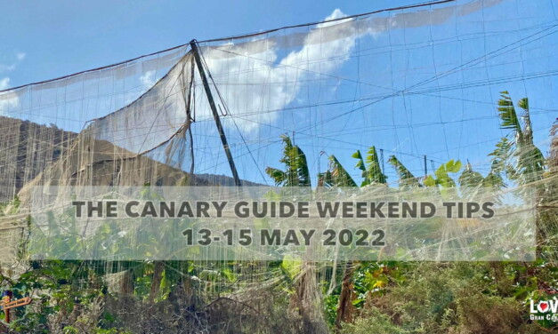 The Canary Guide #WeekendTips 13-15 May 2022