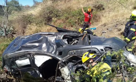 Driver critical after leaving mountain road and rolling into 80m deep ravine