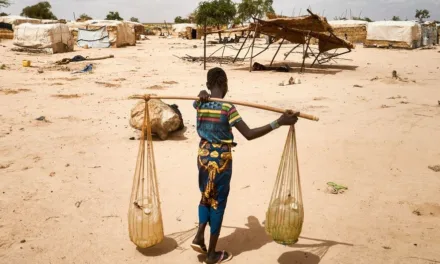 Canary Islands Migration: Ukraine war exasperating food shortages, poverty and unrest in the West African Sahel