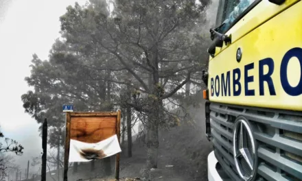 Forest fires high risk season has begun on Gran Canaria