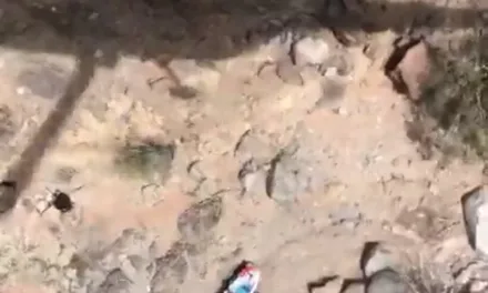 78 year old Norwegian hiker survives a day and a night of high temperatures and is rescued after falling into a ravine