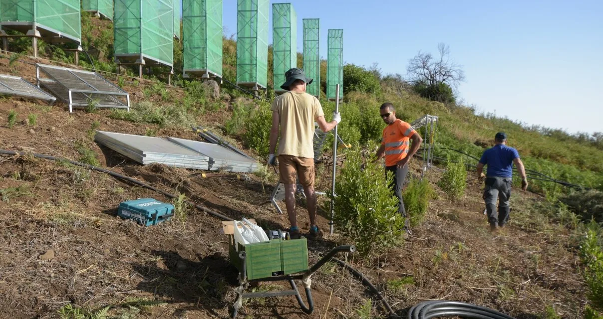 Innovative new “Fog Water Collectors” installed on north Gran Canaria, to help prevent soil erosion and assist reforestation