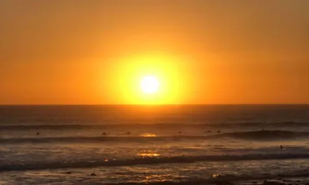 August on Gran Canaria begins at 40ºC with our third heatwave in as many weeks