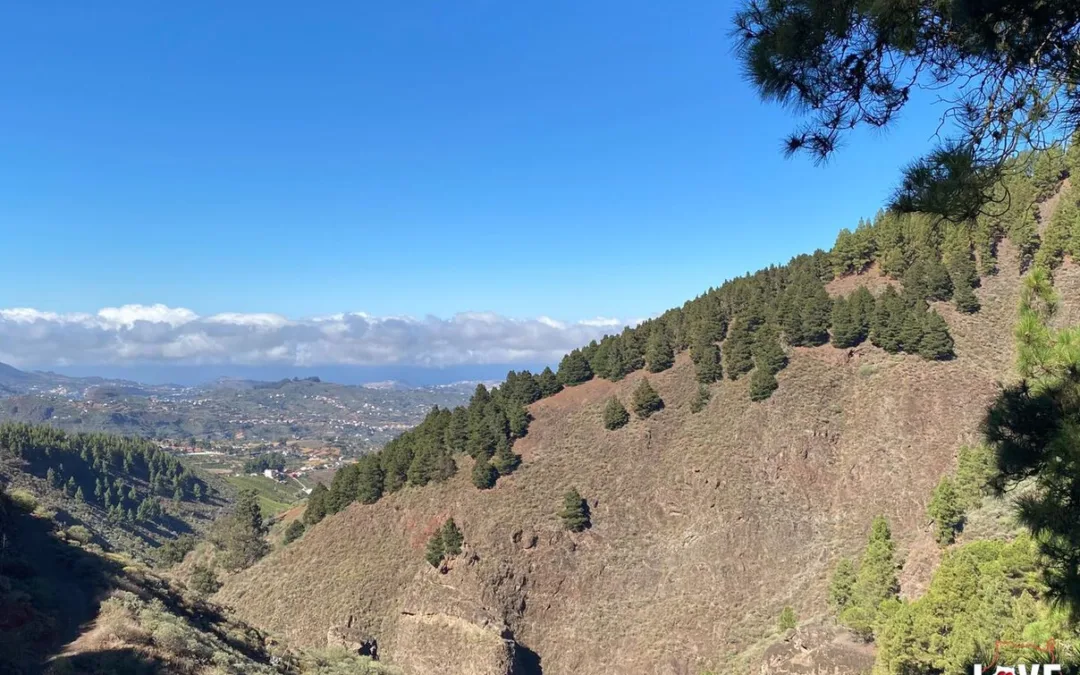 Gran Canaria Weather: Mainly clear blue skies and a touch of Calima, daytime highs upto 31ºC in the shade