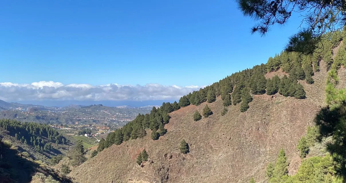 Gran Canaria Weather: Mainly clear blue skies and a touch of Calima, daytime highs upto 31ºC in the shade