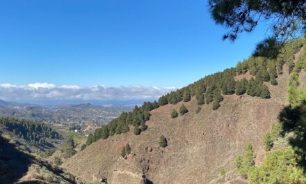 Gran Canaria Weather: Mainly clear blue skies and a touch of Calima, daytime highs upto 31ºC in the shade