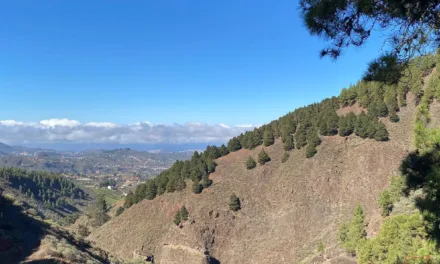 Gran Canaria Weather: Mainly clear blue skies and a touch of Calima, daytime highs upto 31ºC in the shade