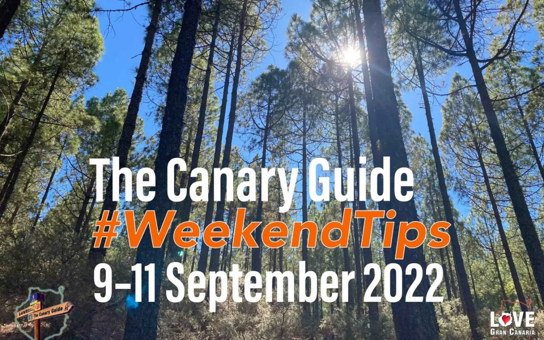 The Canary Guide #WeekendTips 9-11 September 2022