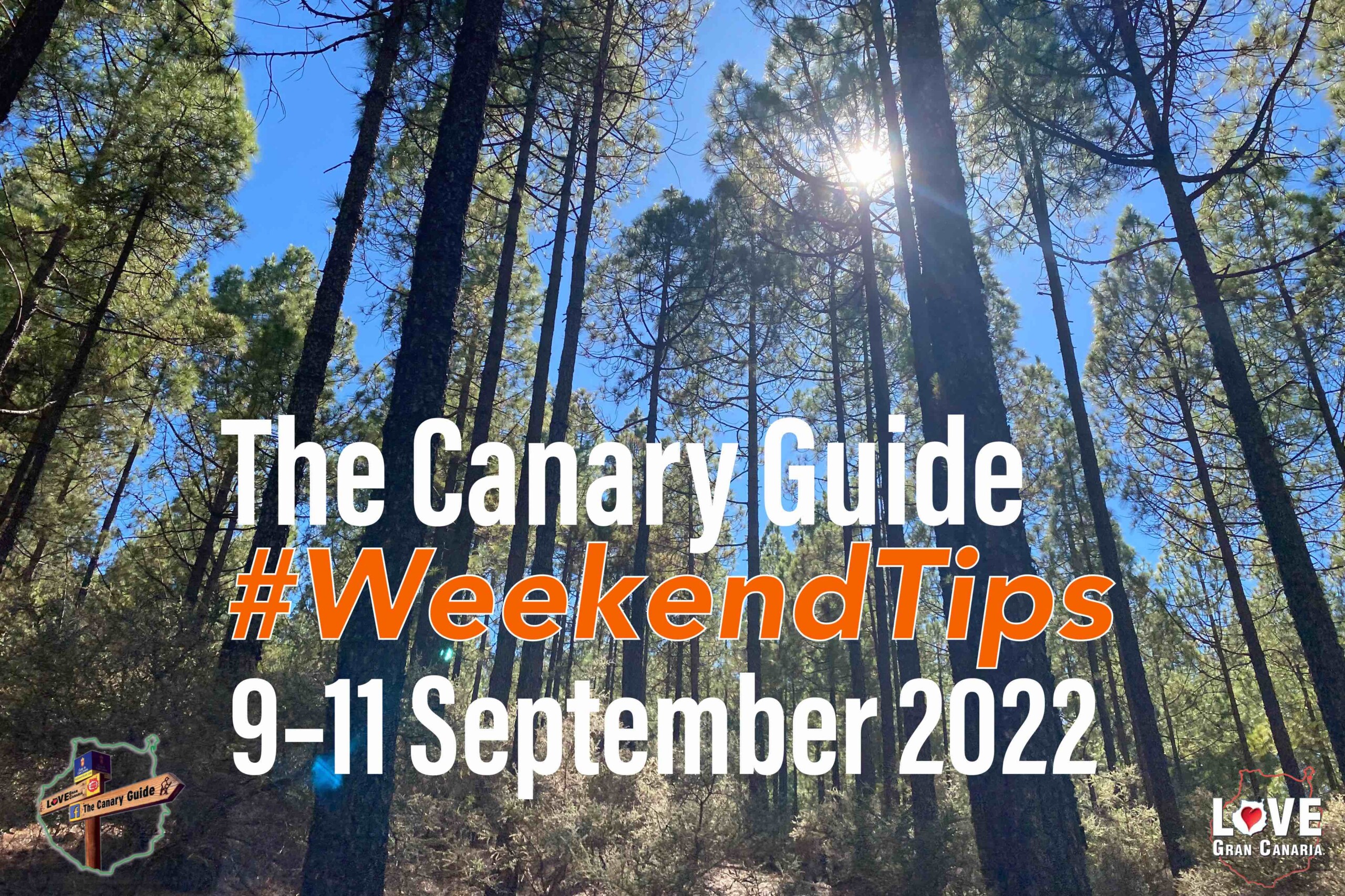The Canary Guide #WeekendTips 9-11 September 2022