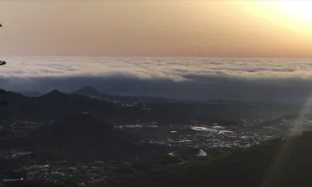 31ºC in the shade this weekend on Gran Canaria, with a touch of Calima to end October