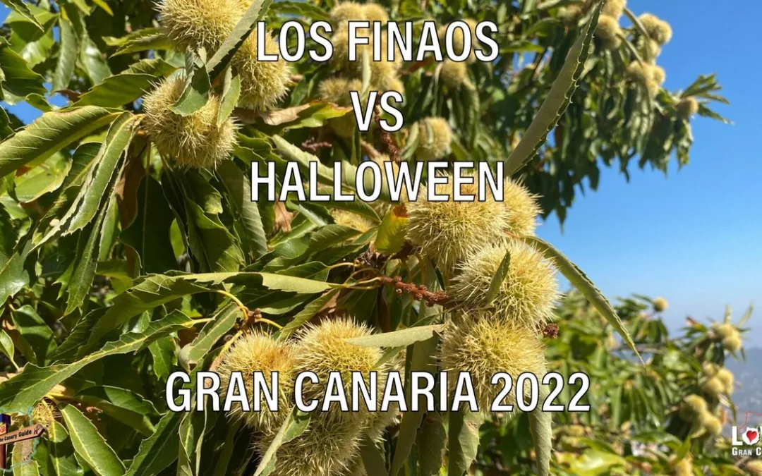 The Canary Guide: Noche de Finaos vs. Halloween on Gran Canaria 2022
