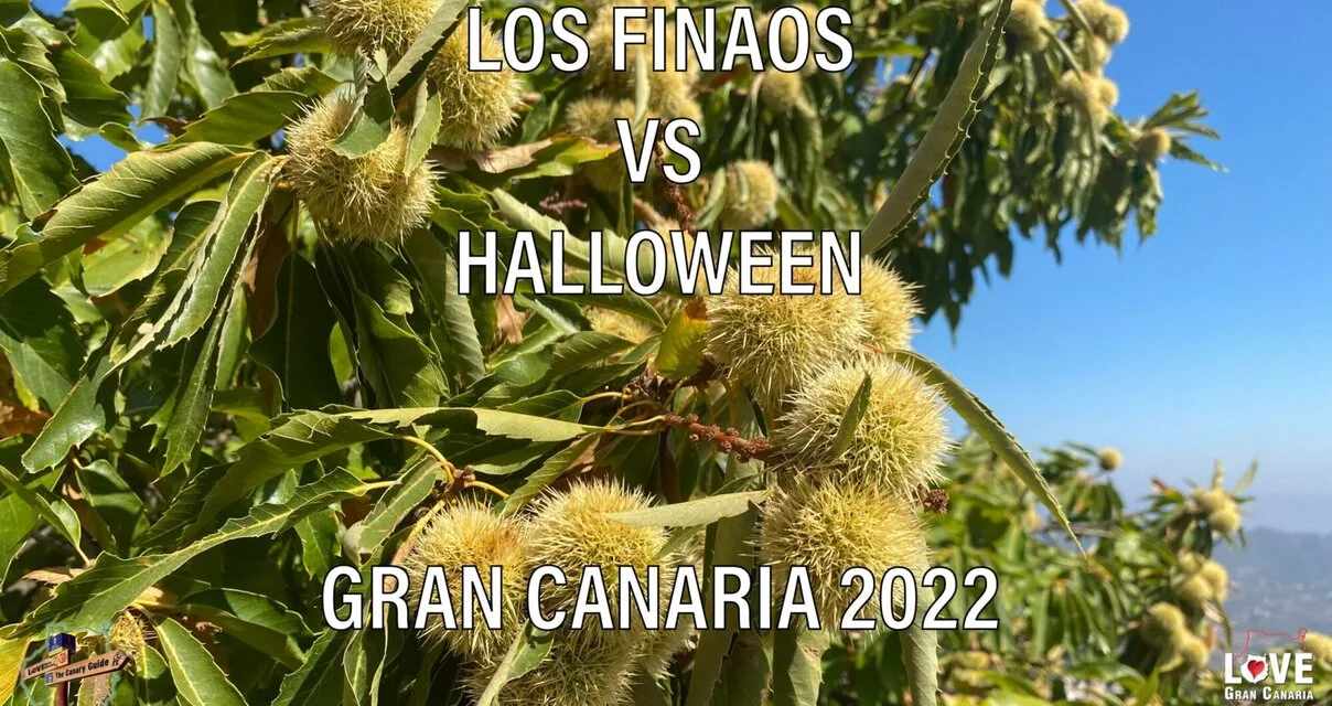 The Canary Guide: Noche de Finaos vs. Halloween on Gran Canaria 2022