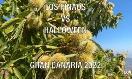 The Canary Guide: Noche de Finaos vs. Halloween on Gran Canaria 2022