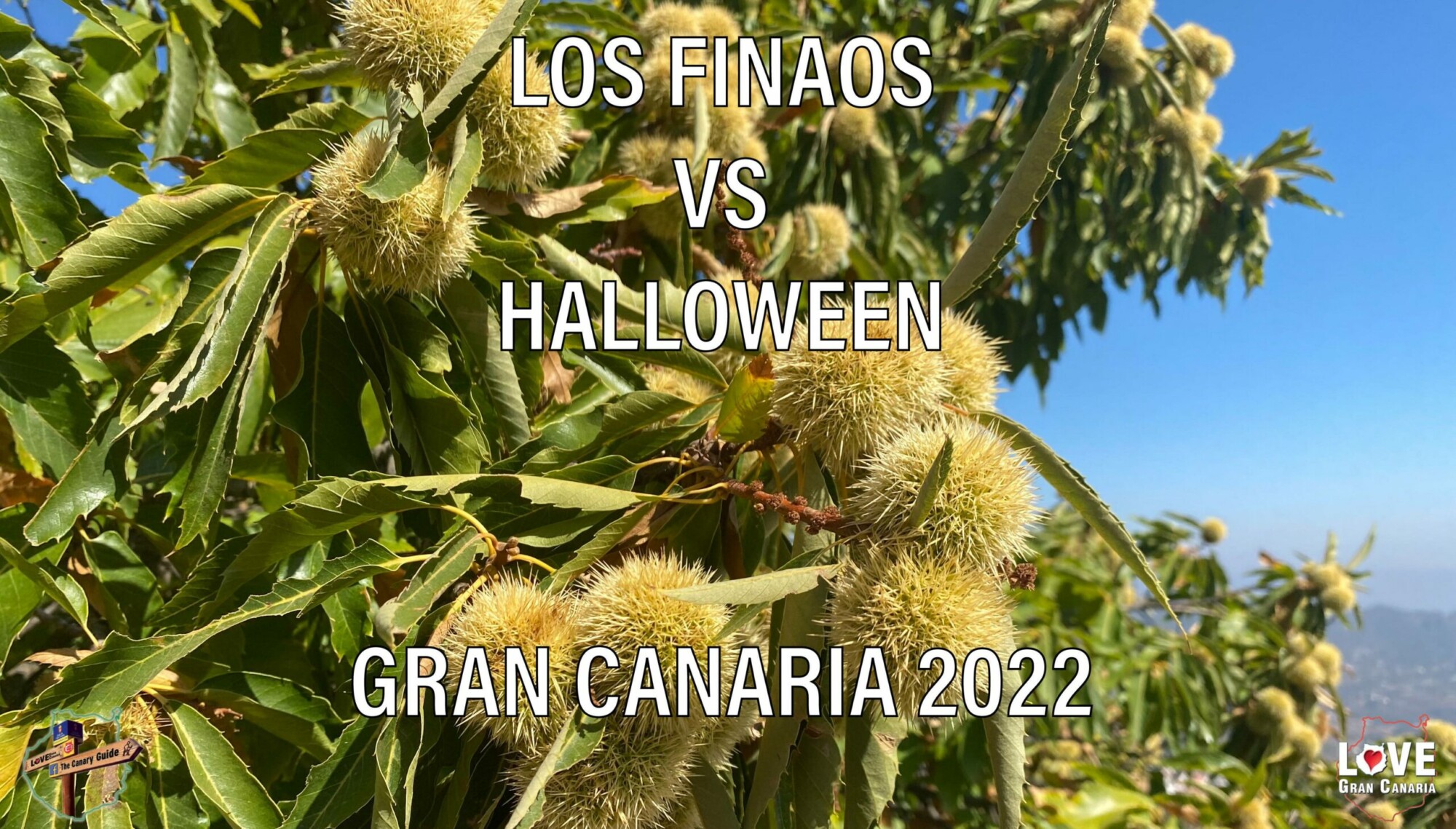 The Canary Guide: Noche de Finaos vs. Halloween on Gran Canaria 2022
