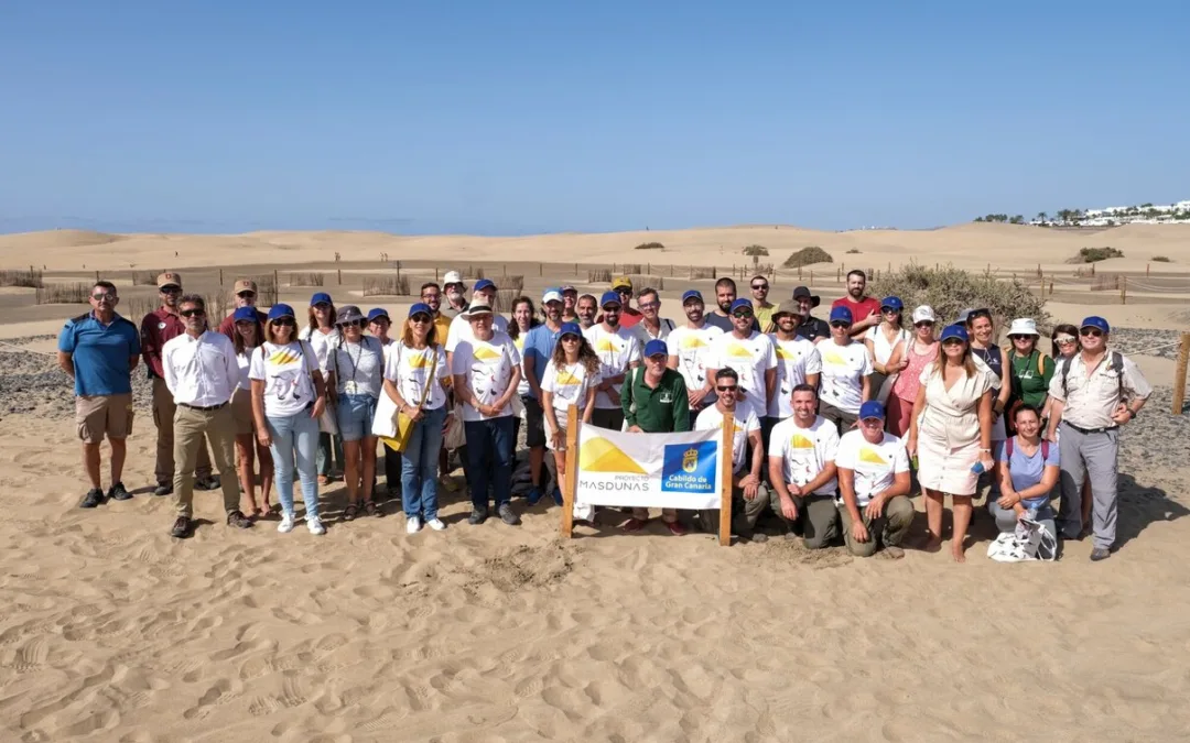 Gran Canaria continues work to protect the Dunes of Maspalomas and avoid their destruction