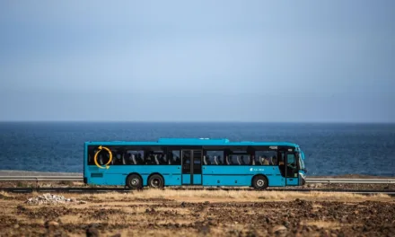 Bus companies very concerned about being able to maintain services with free travel from January 1st