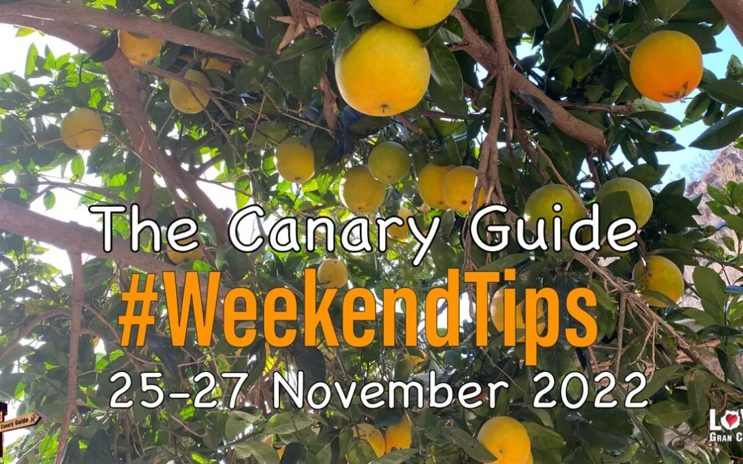 The Canary Guide #WeekendTips 25-27 November 2022