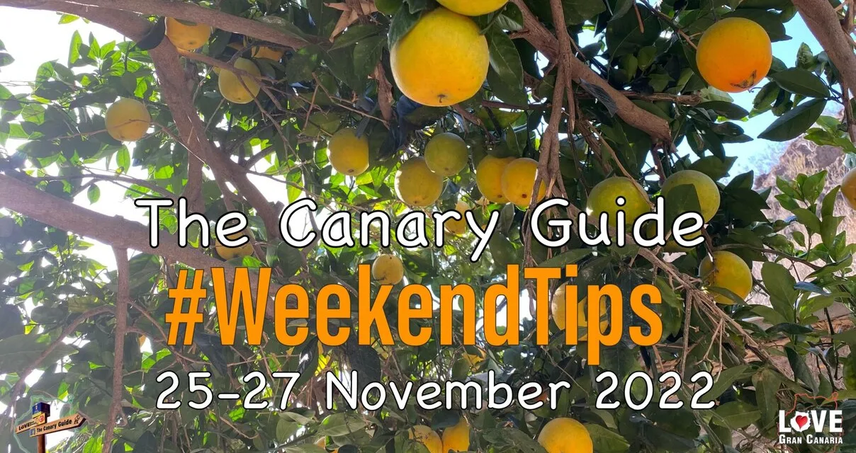 The Canary Guide #WeekendTips 25-27 November 2022