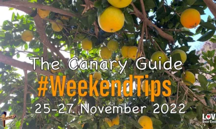 The Canary Guide #WeekendTips 25-27 November 2022
