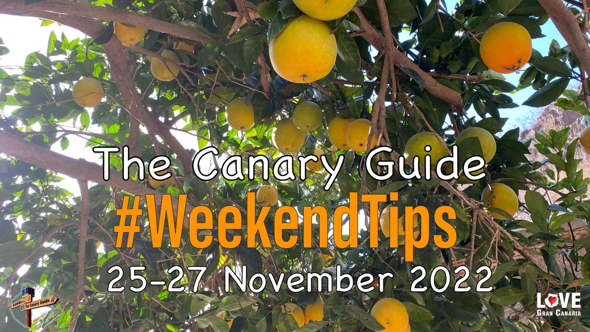 The Canary Guide #WeekendTips 25-27 November 2022
